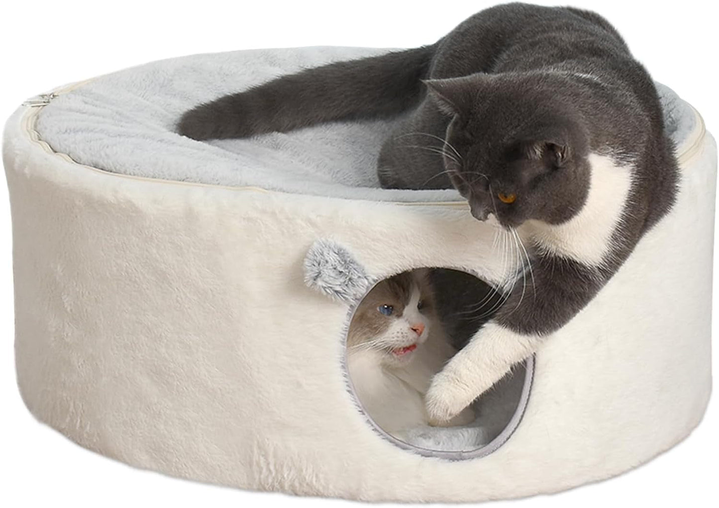 Couvertures et meubles, Animaux, Grottes et maisons, Chats, Lits pour chats, Chats - lits, matelas