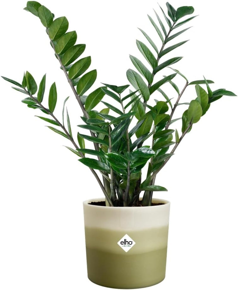 Pot rond elho Color Gradient 16cm - pour l'intérieur - 100% plastique recyclé - Ø 15,9 x H 14,7 - Vert/Vert bambou