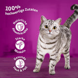 Whiskas 1+ nourriture humide pour chats au poulet en gelée, 28x85g (1 paquet) - Nourriture humide de haute qualité pour chats adultes en sachets de 28 portions