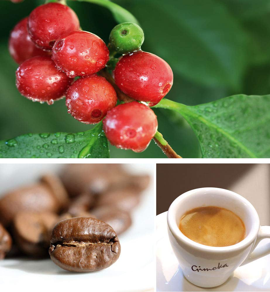 Gimoka - Compatible Pour Nescafè - Dolce Gusto - 64 Kapsel - Goût Crémeux - Intensité 10 - Made In Italy - 4 Packungen Zu 16 Kapseln