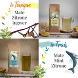 ORIGEENS COFFRET THÉ BIO MATE X4 I Yerba Mate Bio 4X80G I Coffret thé Yerba Mate, idée cadeau