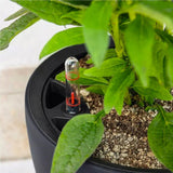 Jardinière LECHUZA Classico Color LS gris ardoise avec système d'irrigation |Ø 35 × 32 cm|14281