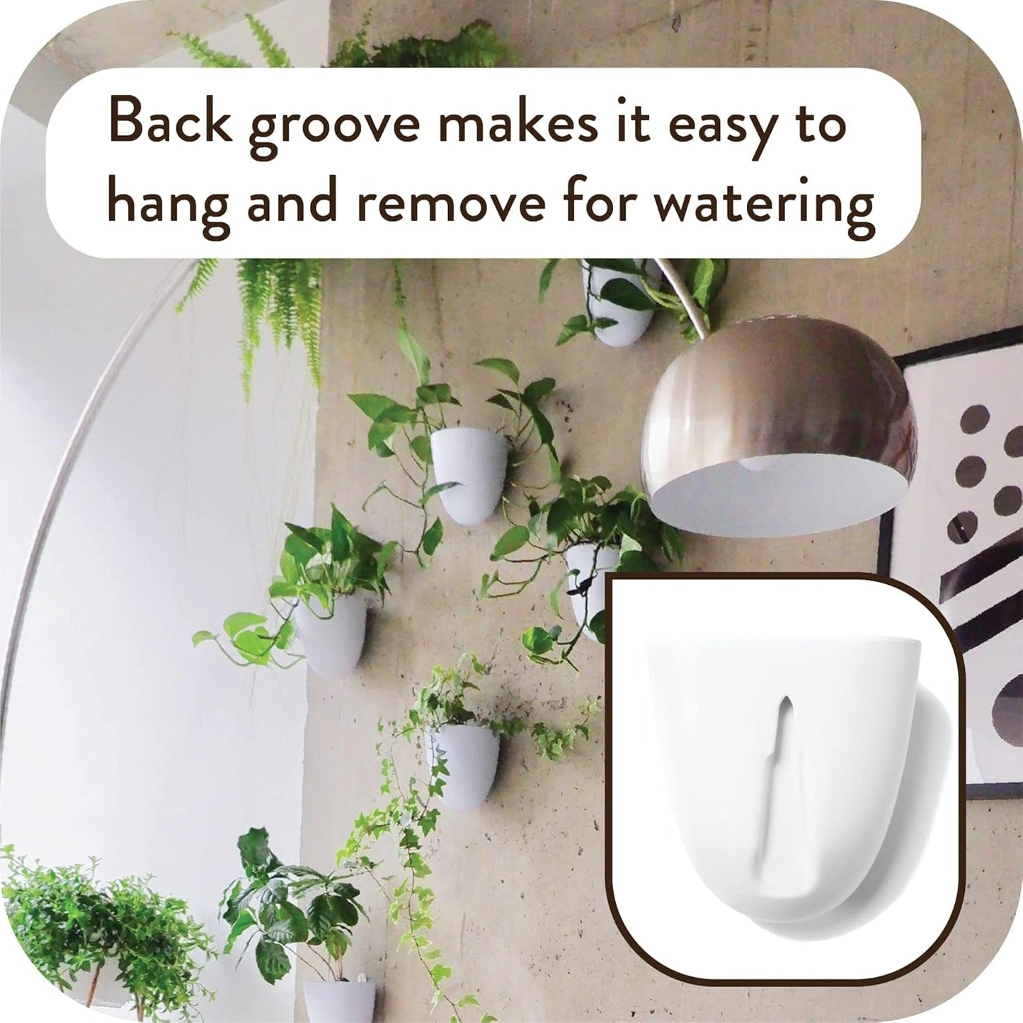 Virgo Lot de 6 pots muraux à arrosage automatique – Faciles à arroser et à installer – Légers – Créez votre propre jardin vertical – Pots muraux pour plantes d'intérieur