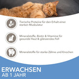 IAMS Delights Sea Collection Katzenfutter Nass - Multipack mit Fisch Sorten (Lachs, Thunfisch, Maquereau, Seefisch) en Sauce, Nassfutter für Katzen à partir de 1 janvier, 12 x 85g