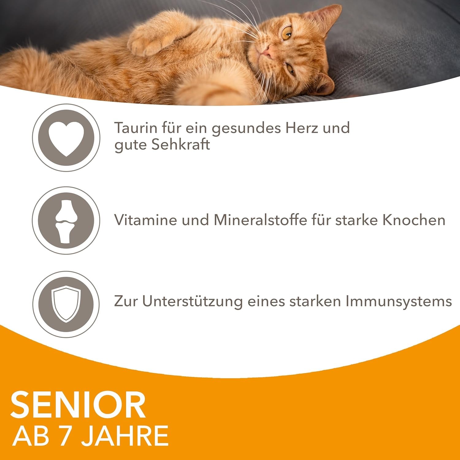 IAMS Delights Nourriture humide pour chat au poulet en sauce pour chats seniors de 7 ans et plus - Format essai, sachet individuel, 1 x 85 g