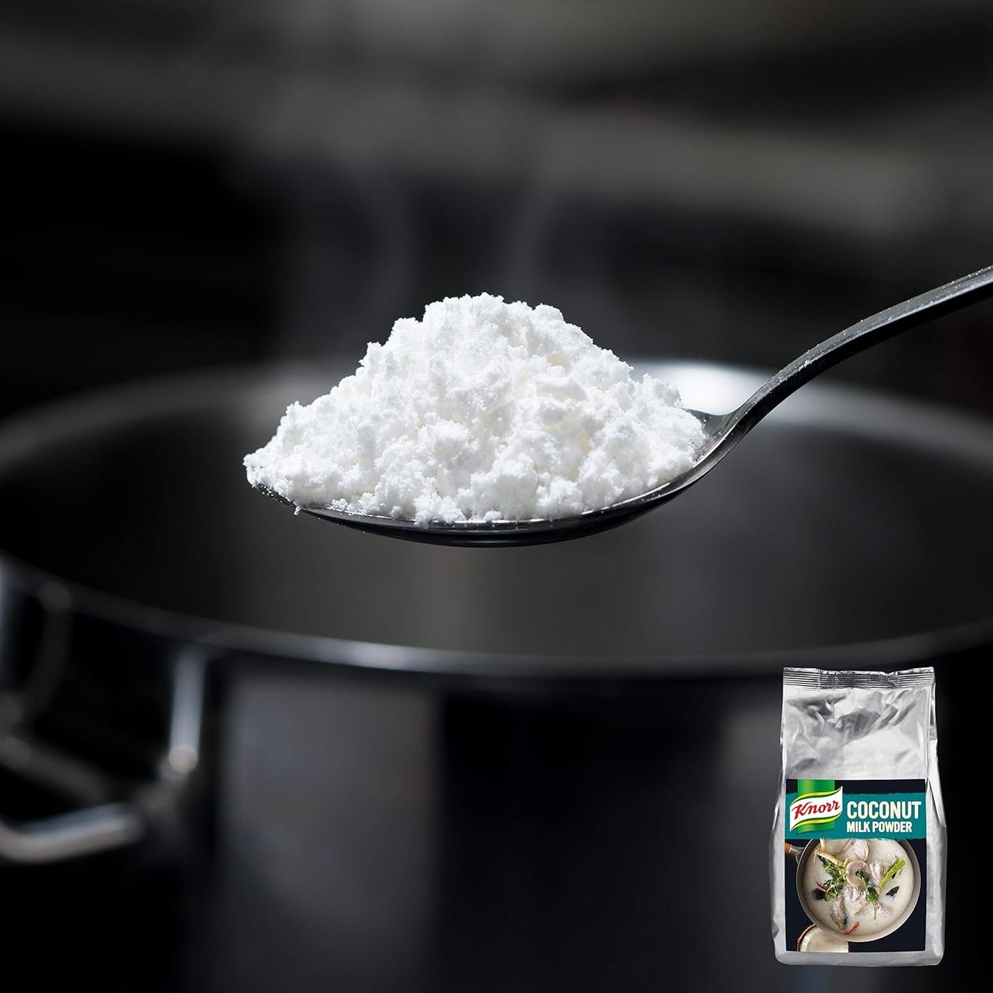 Knorr Kokosmilch Pulver (Lait en poudre aus 20 frischen Kokosnüssen, ergibt 6,6 Liter Kokosmilch) 1er Pack (1 x 1 kg)