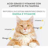 Silver Poulet avec Mousse et Filets de Canard, Aliment humide complet pour chats seniors, Sans céréales, Soutien immunitaire, Source d'humidité, 12 x 70 g