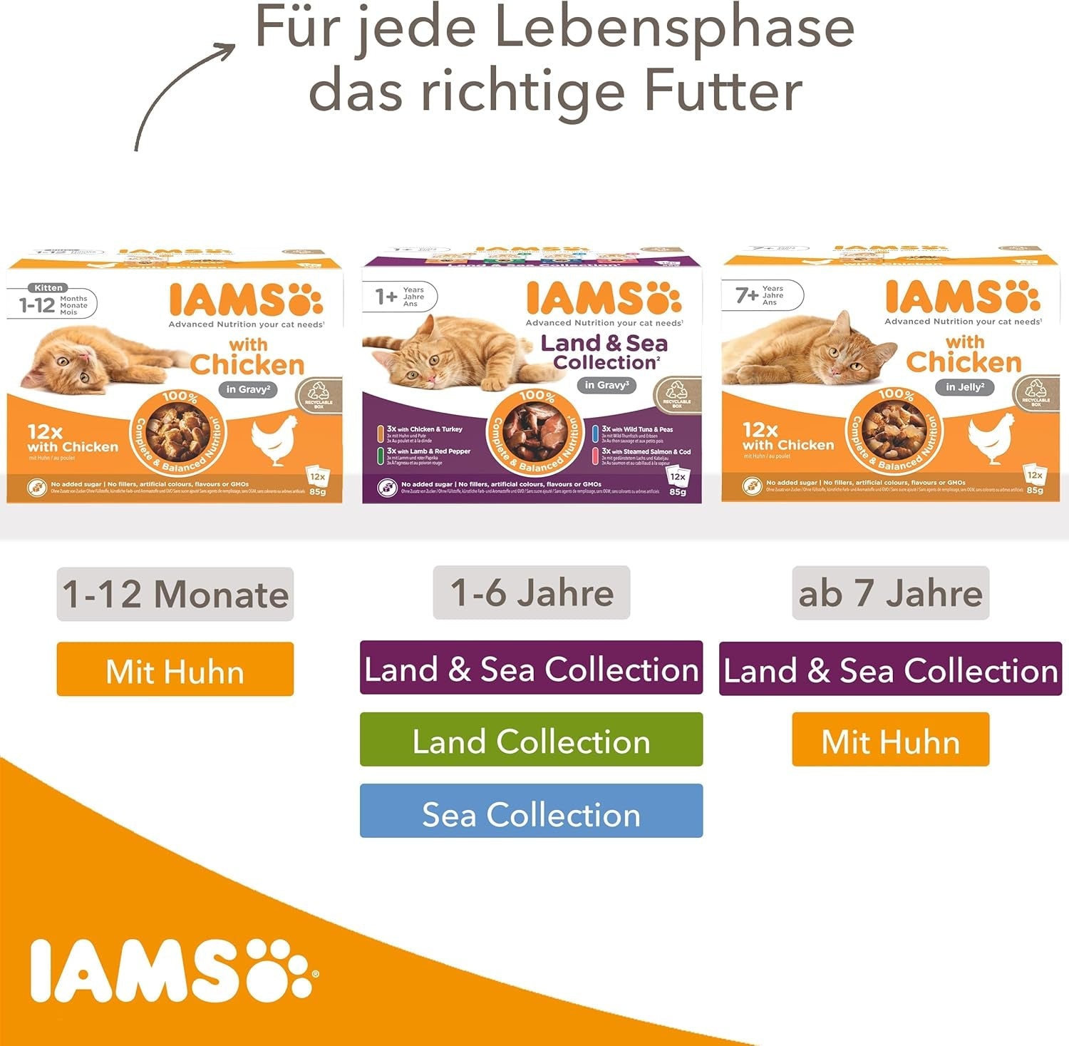 IAMS Delights Sea Collection Katzenfutter Nass - Multipack mit Fisch Sorten (Lachs, Thunfisch, Maquereau, Seefisch) en Sauce, Nassfutter für Katzen à partir de 1 janvier, 12 x 85g