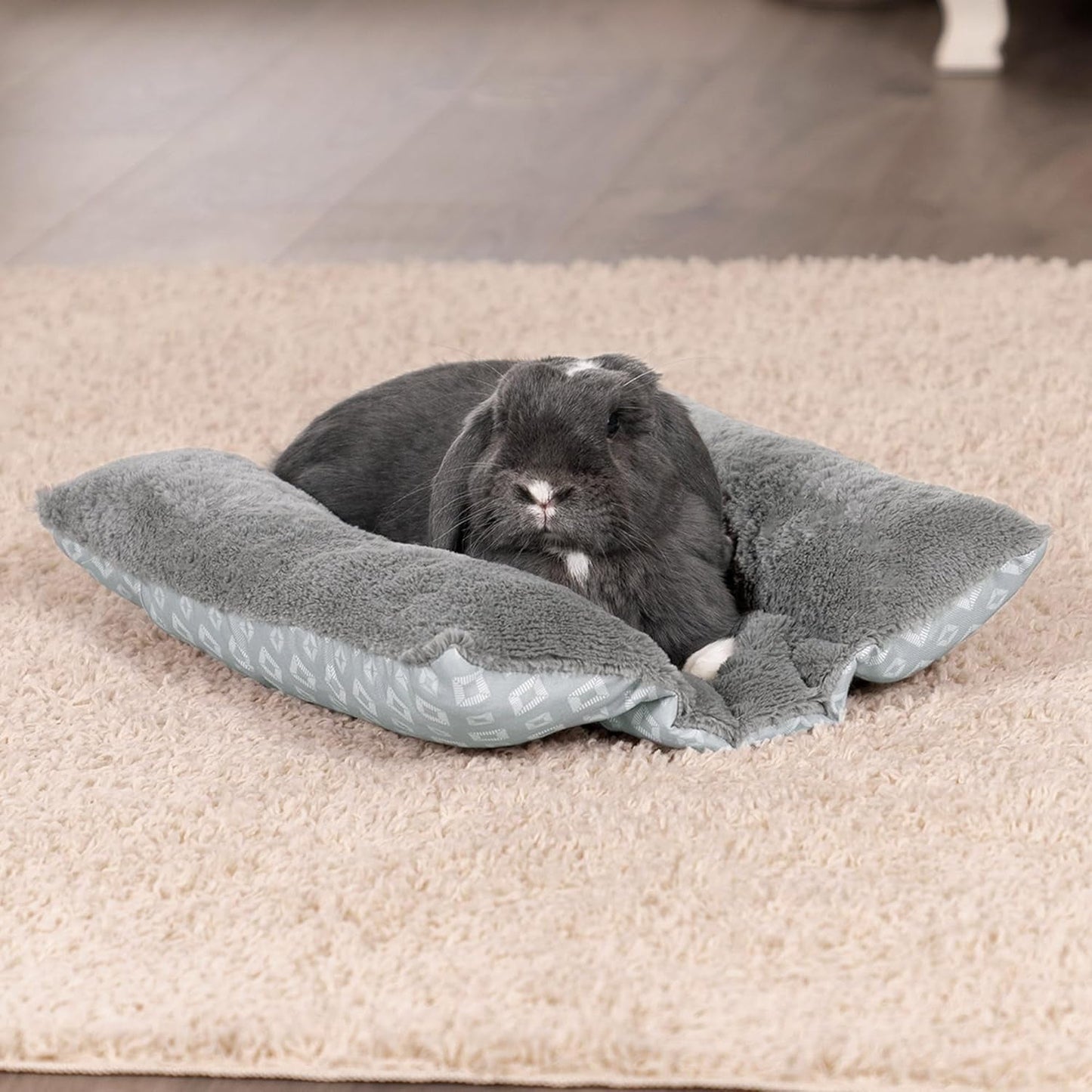 Lits, couvertures et meubles, animaux, chats, lits pour chats, Chats - lits, matelas
