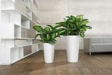 Jardinière LECHUZA Rondo Premium 32 Blanc Mat | Colonne végétale avec système d'arrosage, indicateur de niveau d'eau et insert pour plantes | Finition mate | Ø 32,5 x 56,5 cm | 15786
