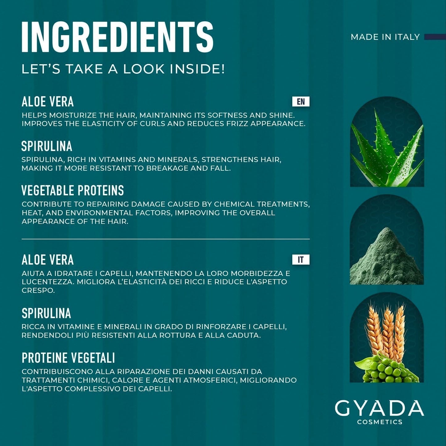 GYADA COSMETICS Pack Renforcement Capillaire Spiruline Nourrissant Anti-Chute Double Embouts Fonctionne 250 ml + Peigne en Bois de Hêtre Idéal pour Démêler Tous Types de Cheveux Masque Capillaire Naty Shop