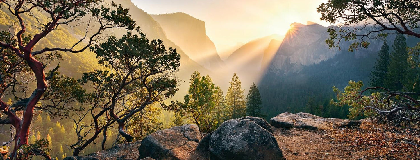 Ravensburger Puzzle 15083 - Yosemite Park - Puzzle de 1000 pièces pour adultes et enfants de plus de 14 ans au format panoramique Puzzle Naty Shop Nouveau design