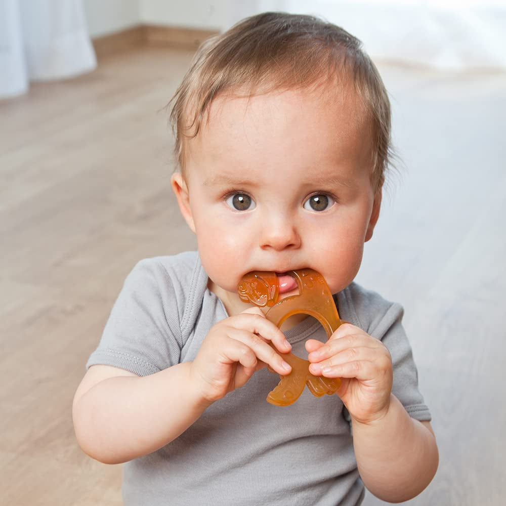 GRÜNSPECHT Anneau de dentition en caoutchouc naturel biologique pour bébés, massage des gencives, sans BPA, doux, favorise la motricité fine, motif dinosaure (639-V1)