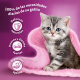 Whiskas Junior Classic nourriture humide pour chat, 13 x 4 x 85 g