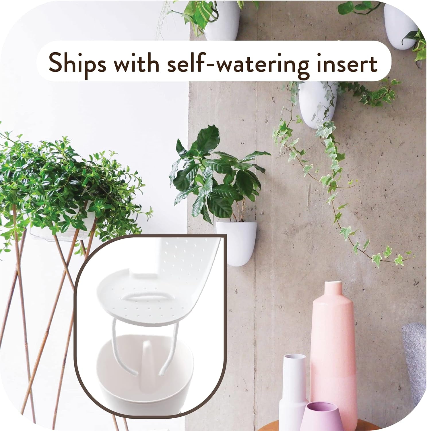 Virgo Lot de 6 pots muraux à arrosage automatique – Faciles à arroser et à installer – Légers – Créez votre propre jardin vertical – Pots muraux pour plantes d'intérieur