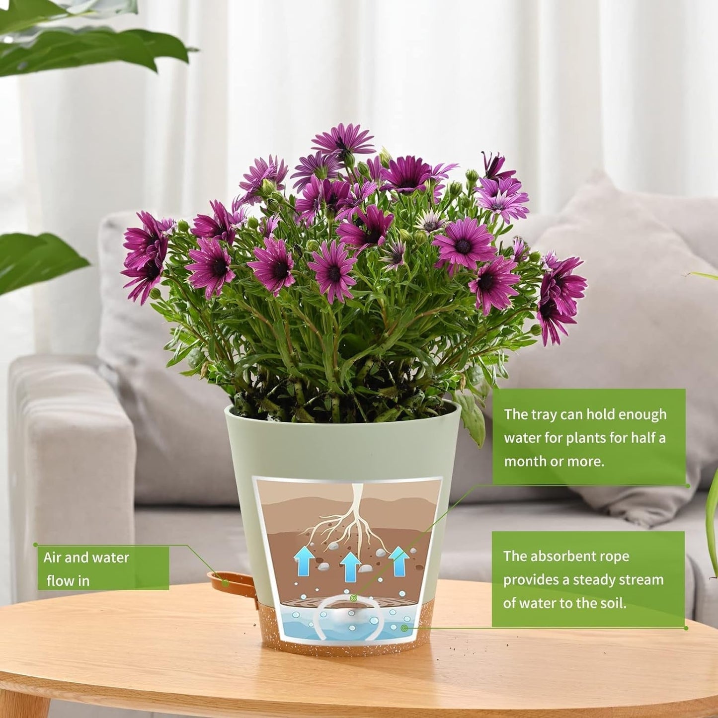 Pot de Fleur 6 Pièces 12,7 cm Jardinière à Arrosage Automatique Pot de Fleur intérieur extérieur à Drainage élevé avec Plateau de réservoir et Bord d'arrosage Jardinière de Jardin Jardin