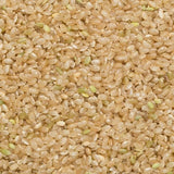Riz brun à grains courts Wholefood Earth - sans OGM - naturel - végétalien - sans produits laitiers - sans sucre ajouté, 3 kg