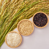 ROYAL THAI RICE - Riz brun parfumé à grains longs - 1 x 10 kg