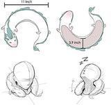 Doux petit Dragon blanc Chihiro oreiller cervical Animation japonaise oreillers orthopédiques cervicaux Naty Shop