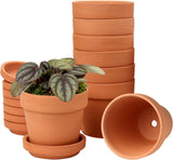 Hollyone Lot de 8 petites jardinières en terre cuite, pots ronds en argile de 8 x 8 cm avec plaque et trou de drainage, petites jardinières avec plateau, pots succulents en terre cuite pour plantes d'intérieur, jardinières en céramique