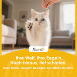 Lits et Canapés, Couvertures et Meubles, Animaux, Chats, Lits pour chats, Chats - lits, matelas