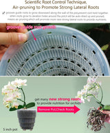 Pot de fleur d'orchidée avec trous de drainage pour la transplantation, excellente circulation de l'air, 2 pièces, plastique double couche, jardinière d'orchidée en céramique, pot de fleur d'orchidée transparent, décoratif