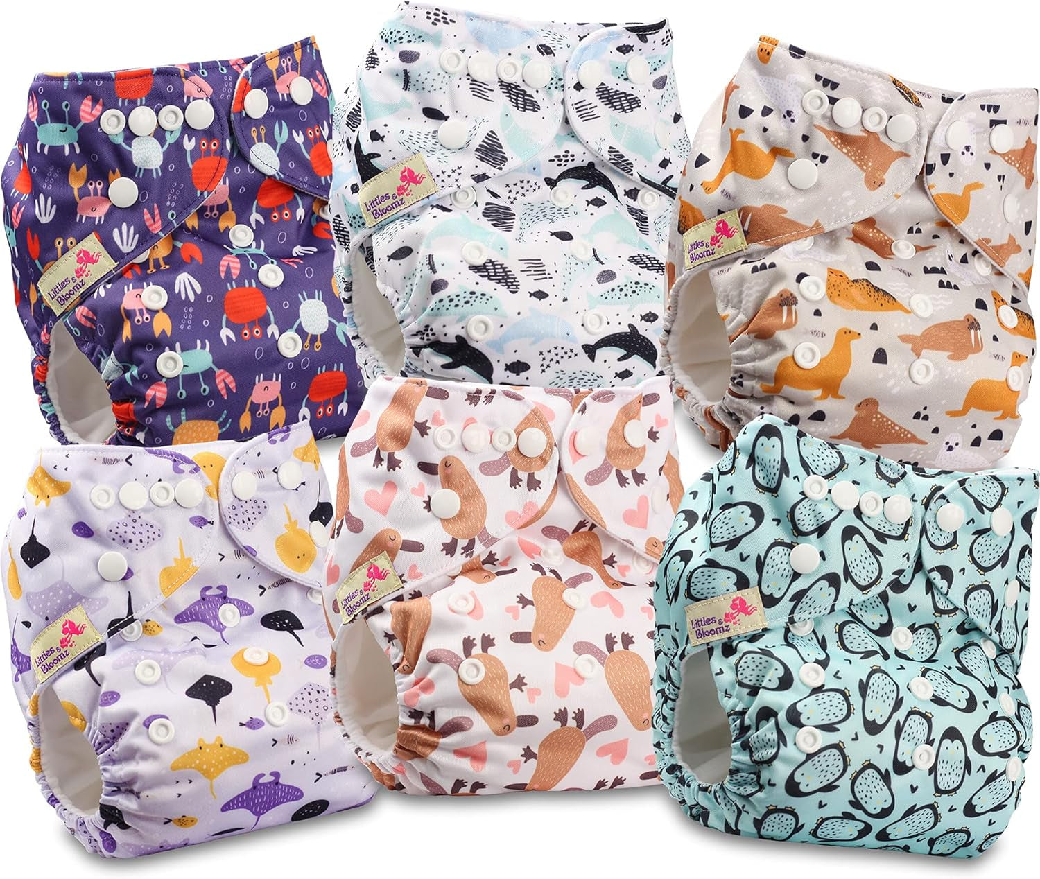 Littles and Bloomz FLP2-0406 Couche réutilisable à clip standard, 4 couches