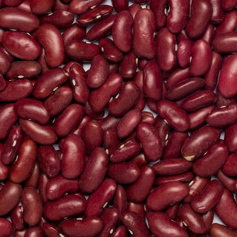 Haricots rouges Wholefood Earth Bio 1kg Cru | Végétalien | Sans OGM | Rouge foncé | Riche en fibres | Riche en protéines | Certifié biologique