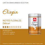 Illy Coffee Beans Sélection de grains de café Arabica de luxe d'Éthiopie, paquet de 6 (6 x 250 g)