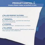 LINEA by Böhmerwald - Cosy - Oreiller Balance de haute qualité, 80X80, 70% plumes classe 1, 30% duvet neuf, adapté aux allergies, lavable jusqu'à 60°C, fabriqué en Allemagne Oreillers standards Naty Shop