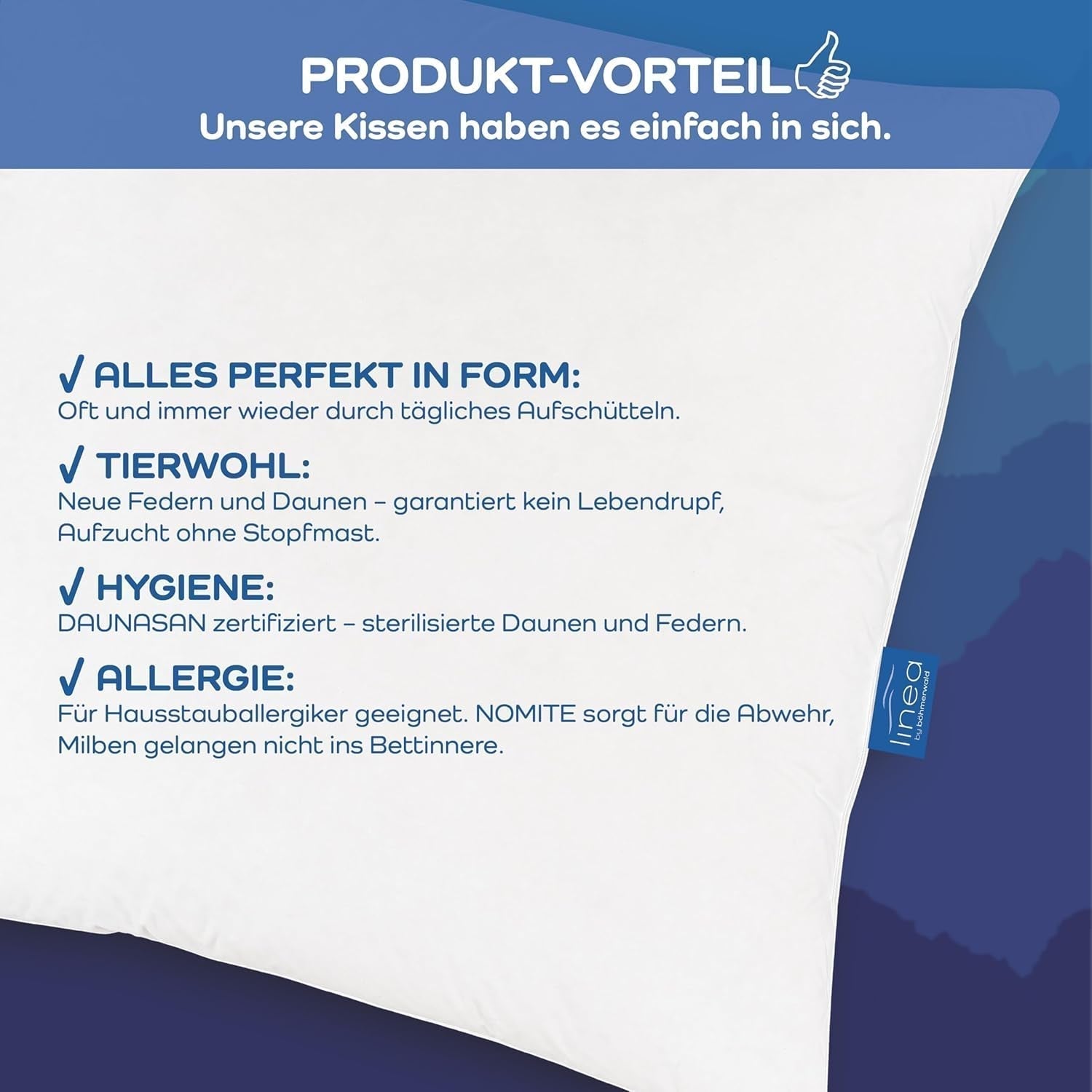 LINEA by Böhmerwald - Cosy - Oreiller Balance de haute qualité, 80X80, 70% plumes classe 1, 30% duvet neuf, adapté aux allergies, lavable jusqu'à 60°C, fabriqué en Allemagne Oreillers standards Naty Shop