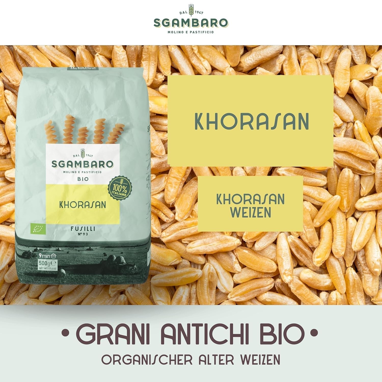 Pâtes Fusilli Bio N°93 - 500g de blé Khorasan - Blé ancien, riche en protéines, cultivé à 100% en Italie - Polyvalent en cuisine et riche en nutriments