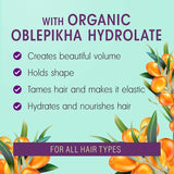 Masque Natura Siberica Oblepikha pour cheveux très abîmés, 1 paquet (1 x 170 ml) Masque capillaire Naty Shop