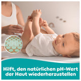 Lingettes pour bébé Pampers 99 % d'eau, 12 paquets de 60 lingettes chacun = 720 lingettes pour bébé, lotion légère 99 % d'eau