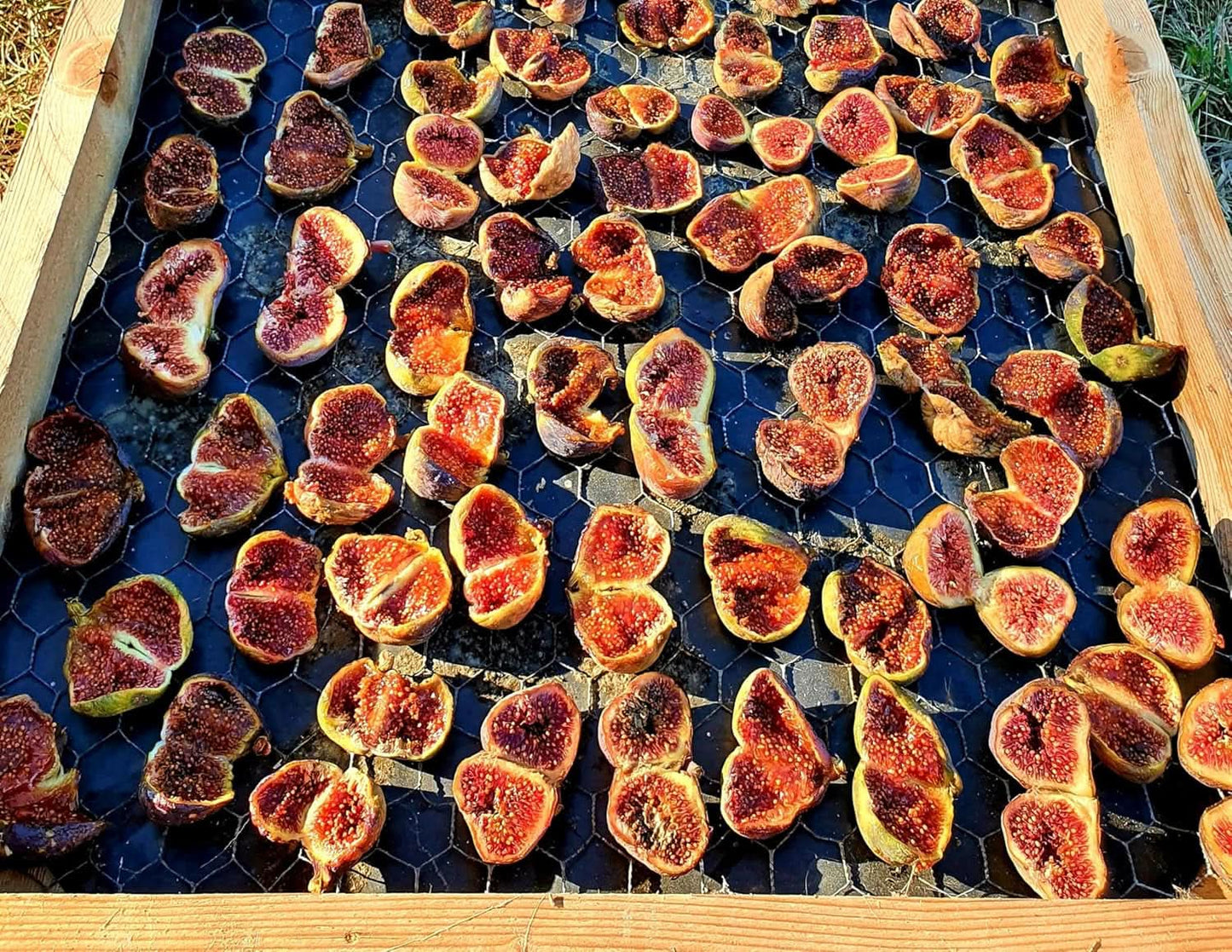 Mundo Feliz Figues séchées issues de l'agriculture biologique, 2 x 500 grammes Produits déshydratés Naty Shop