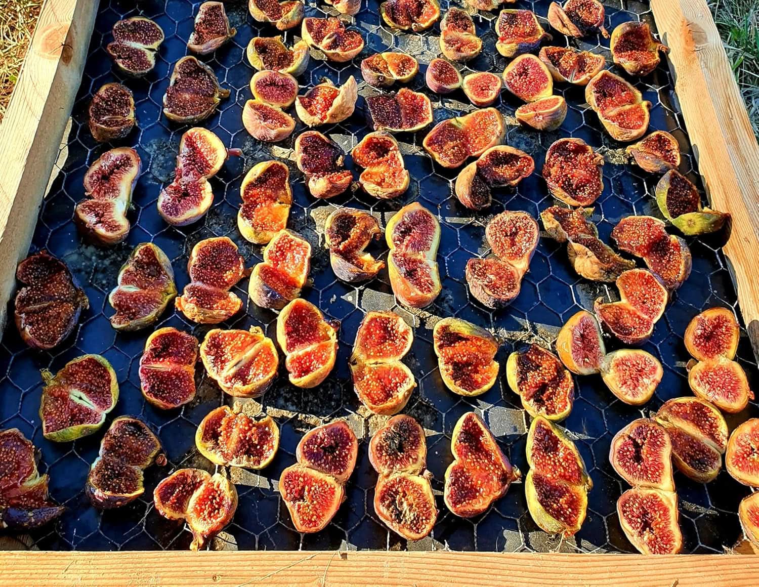 Mundo Feliz Figues séchées issues de l'agriculture biologique, 2 x 500 grammes Produits déshydratés Naty Shop