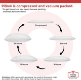 Coussin décoratif tendance pour la maison, soutien lombaire hypoallergénique, pour la maison, l'extérieur, le canapé, lavable en machine, 12 "x 20"