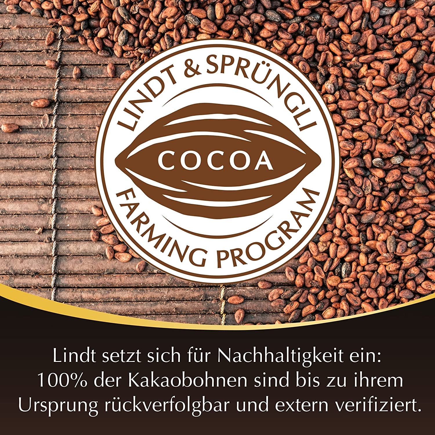 Boules de chocolat Lindor 70% de cacao extra noir | Sachet de 137g | Env. 10 boules de chocolat noir fin fourrées fondantes | Cadeau de chocolat | Cadeau chocolat