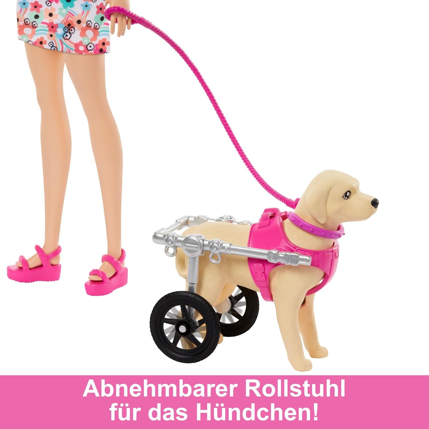 Barbie Dog Duo Poupée et accessoires, y compris petit chien et grand chien avec fauteuil roulant, laisse, bol de nourriture, lit pour animal de compagnie et os à friandises, 3 ans et plus, HTK37 Naty Shop Dolls
