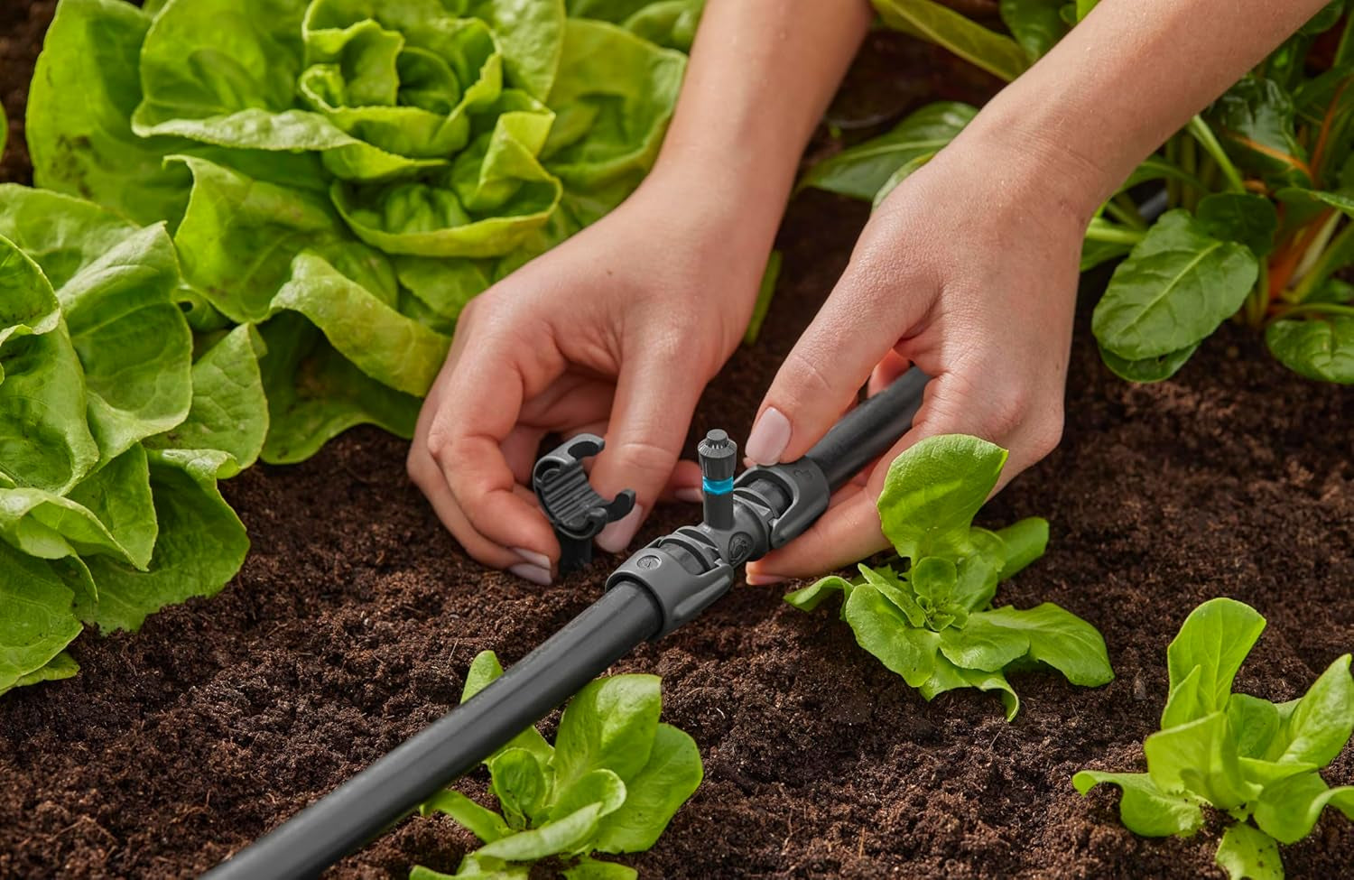 Pièce en T Gardena Micro-Drip-System pour buses de pulvérisation : Connexion entre des tuyaux de 13 mm et une buse de pulvérisation, arrosage automatique des plantes, technologie de connexion simple et rapide, réutilisable (13206-20)