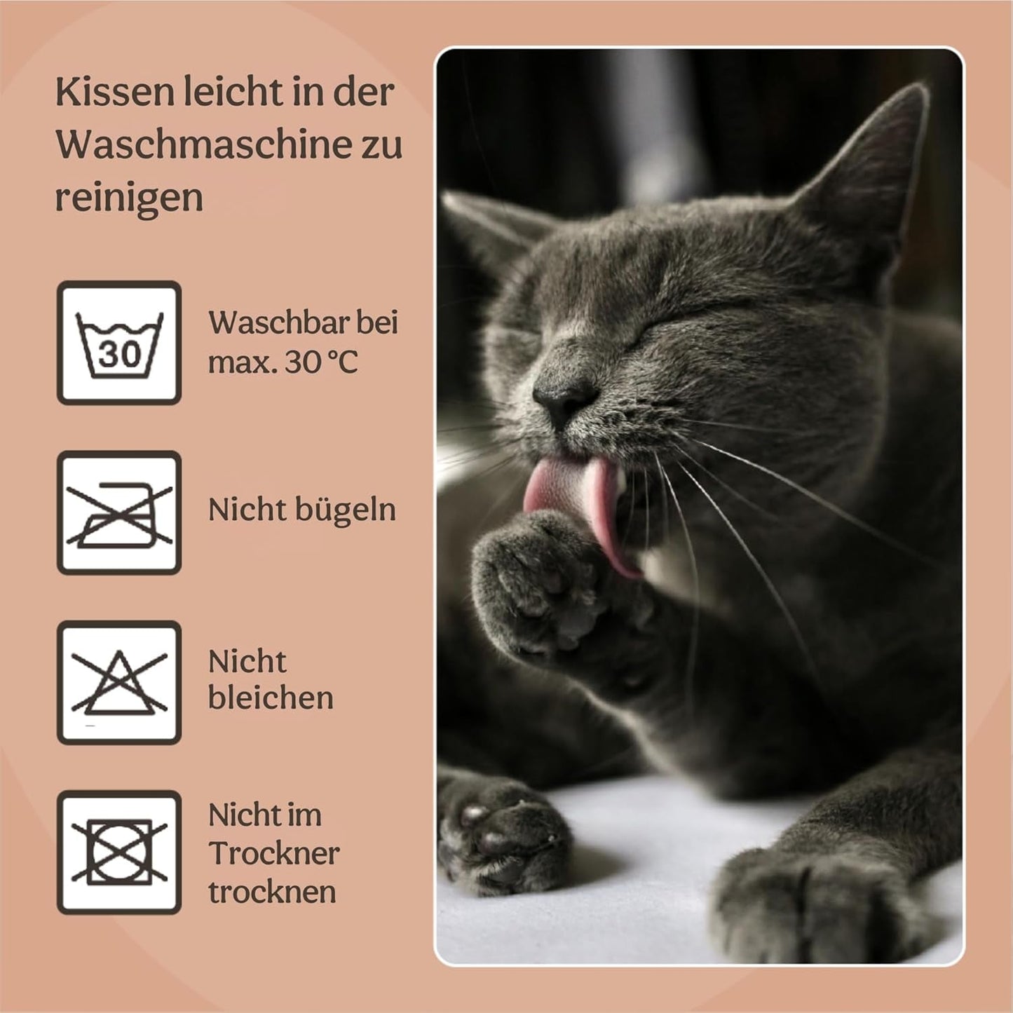 Lits, couvertures et meubles, animaux, chats, lits pour chats, Chats - lits, matelas