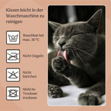 Lits, couvertures et meubles, animaux, chats, lits pour chats, Chats - lits, matelas