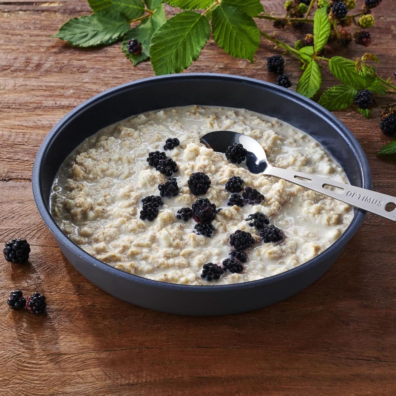 Porridge protéiné TREK'N EAT Céréales Naty Shop