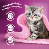 Whiskas Junior Classic nourriture humide pour chat, 13 x 4 x 85 g
