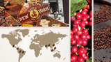 New York Coffee - EXTRA P - Café en grains, goût fort et décisif, grains Arabica et Robusta, à moudre, expresso italien, mélange de bar - qualité premium depuis 1930 - 1 kg, grains