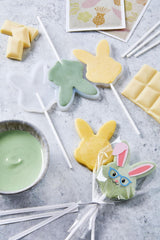 HEITMANN KREATIV - Sucettes au chocolat - Avec colorants en poudre à base de plantes - Jaune et vert - Kit DIY - Pâques