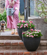 Pot en pierre Dehner, Ø 40 cm, hauteur env. 31 cm, plastique, anthracite