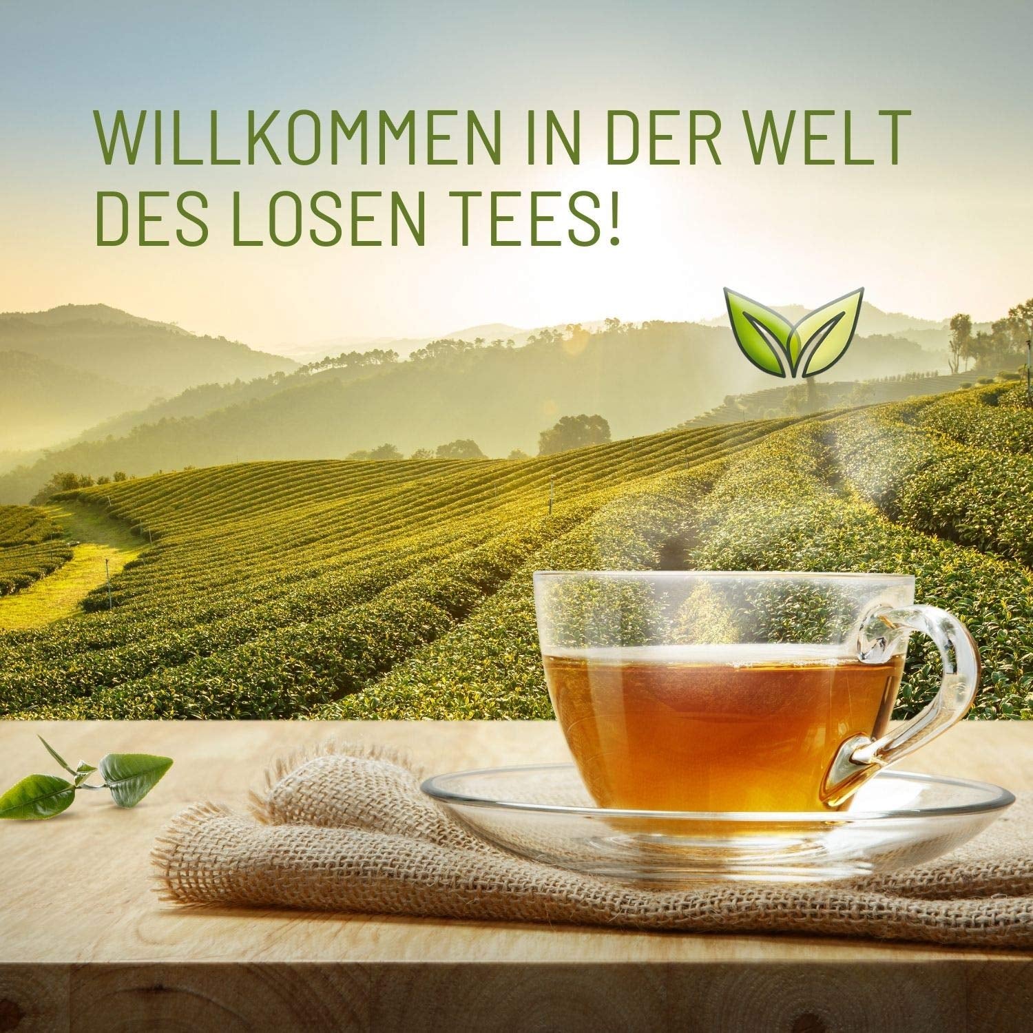 Teeverliebt - Darjeeling Bio Second Flush 1000G I Thé Darjeeling FTGFOP1 d'Inde I Thé noir léger pleine saveur I 1 kg