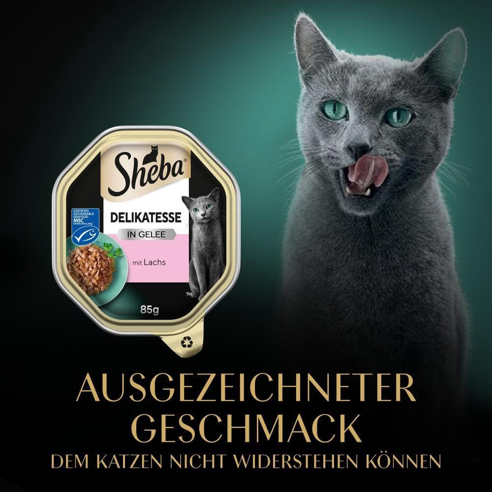 Sheba Nourriture humide pour chat, Délicatesse en gelée de saumon, 2 x 11 x 85 g