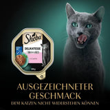 Sheba Nourriture humide pour chat, Délicatesse en gelée de saumon, 2 x 11 x 85 g
